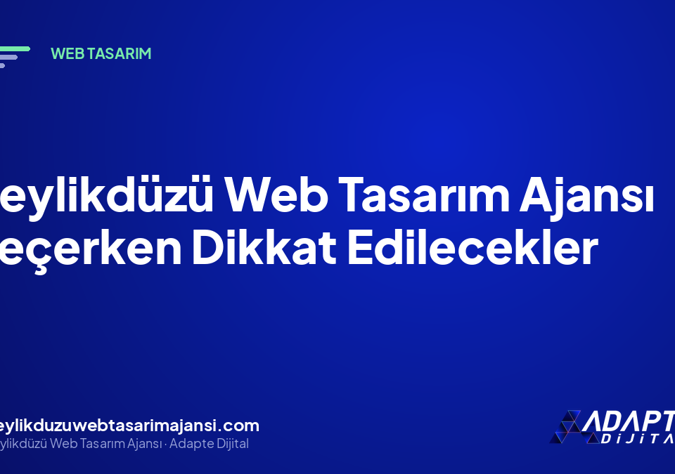 Beylikdüzü Web Tasarım Ajansı Seçerken Dikkat Edilecekler