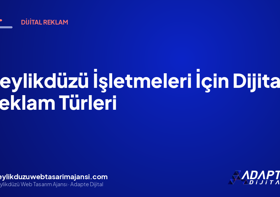 Beylikdüzü İşletmeleri İçin Dijital Reklam Türleri