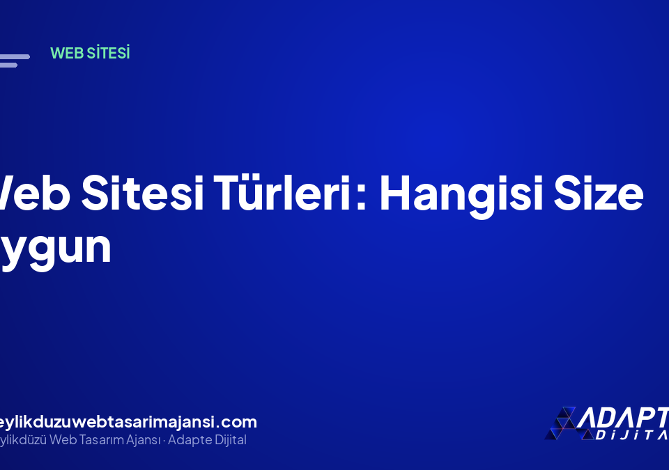 Web Sitesi Türleri: Hangisi Size Uygun