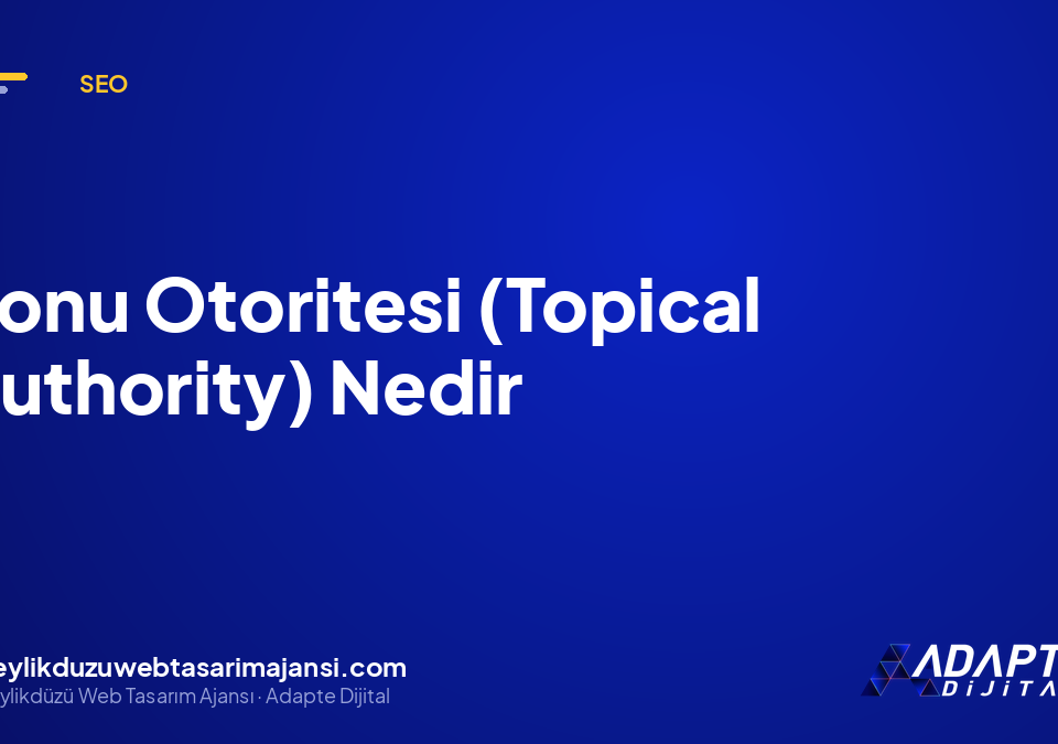 Konu Otoritesi (Topical Authority) Nedir