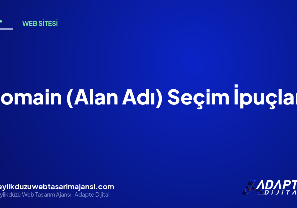 Domain (Alan Adı) Seçim İpuçları