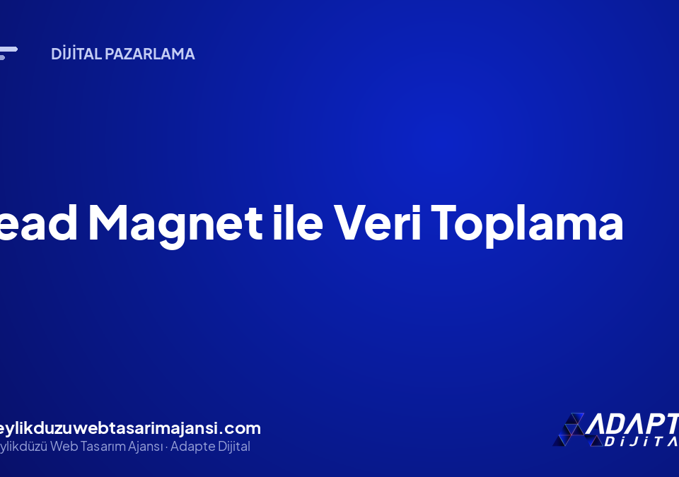 Lead Magnet ile Veri Toplama