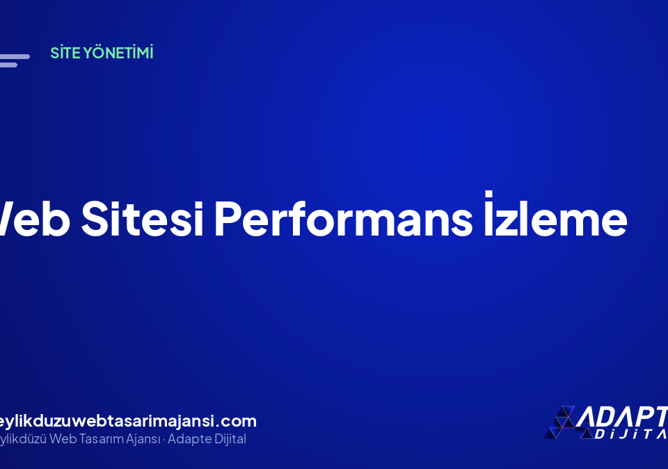 Web Sitesi Performans İzleme
