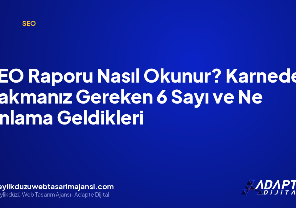 SEO Raporu Nasıl Okunur? Karnede Bakmanız Gereken 6 Sayı ve Ne Anlama Geldikleri