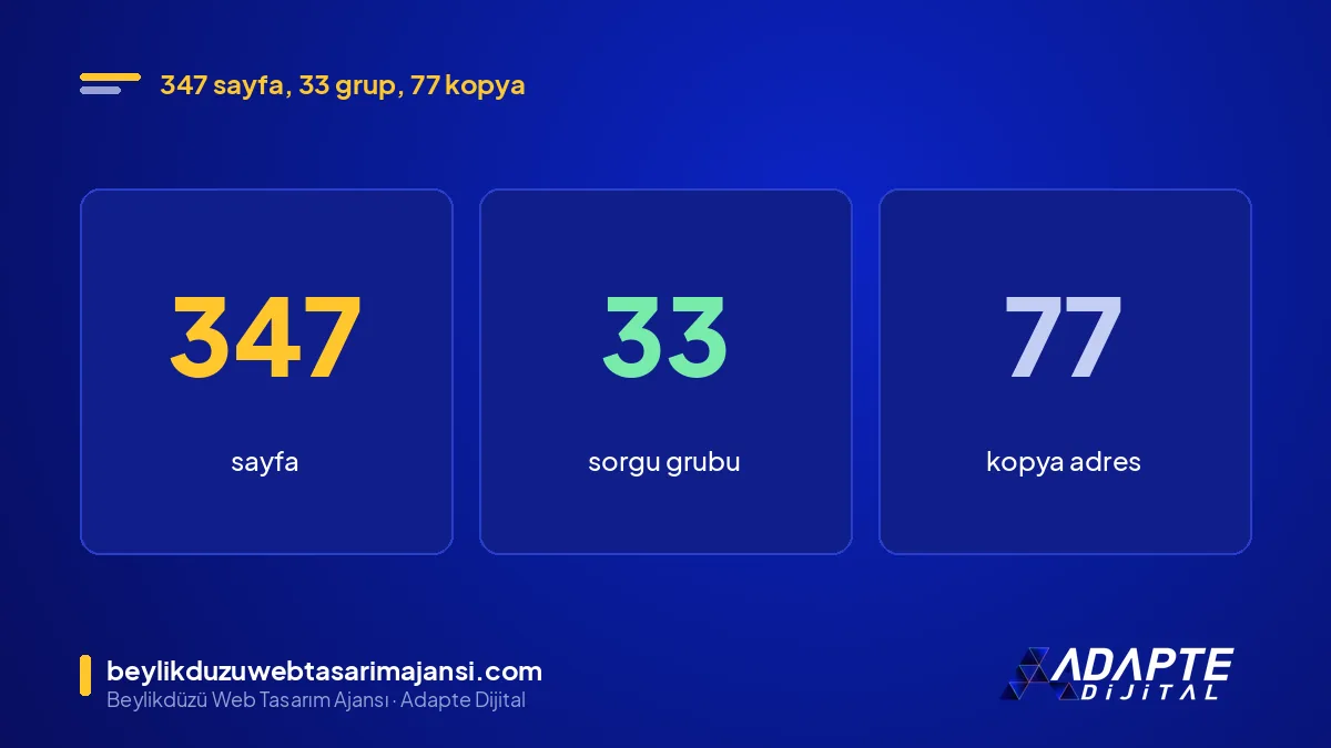 AINEO Bekçi sonucu: 347 sayfa, 33 sorgu grubu, 77 kopya adres