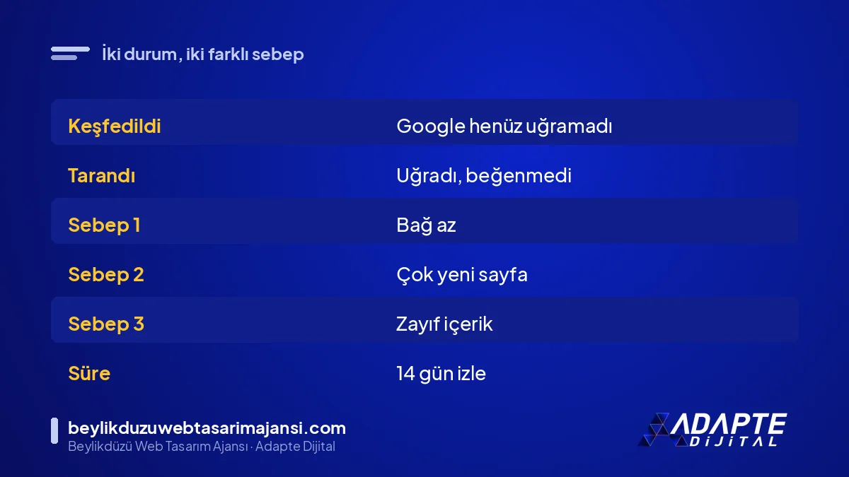 Keşfedildi ile tarandı dizine eklenmedi durumlarının farkı