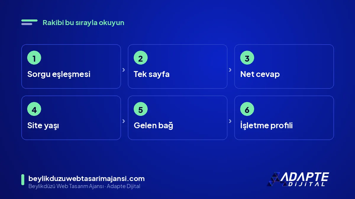 Rakip analizi sırası: sorgu, sayfa, cevap, yaş, bağ, profil
