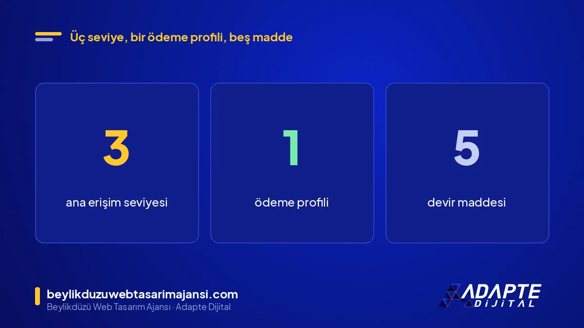 Google Ads hesap sahipliği: 3 ana erişim seviyesi, 1 ödeme profili ve 5 maddelik devir listesi