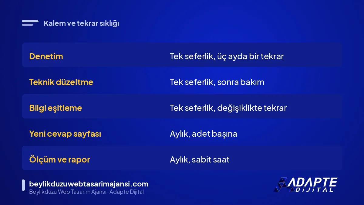 AI SEO maliyet kalemleri ve her kalemin tek seferlik ya da aylık olduğu tablo