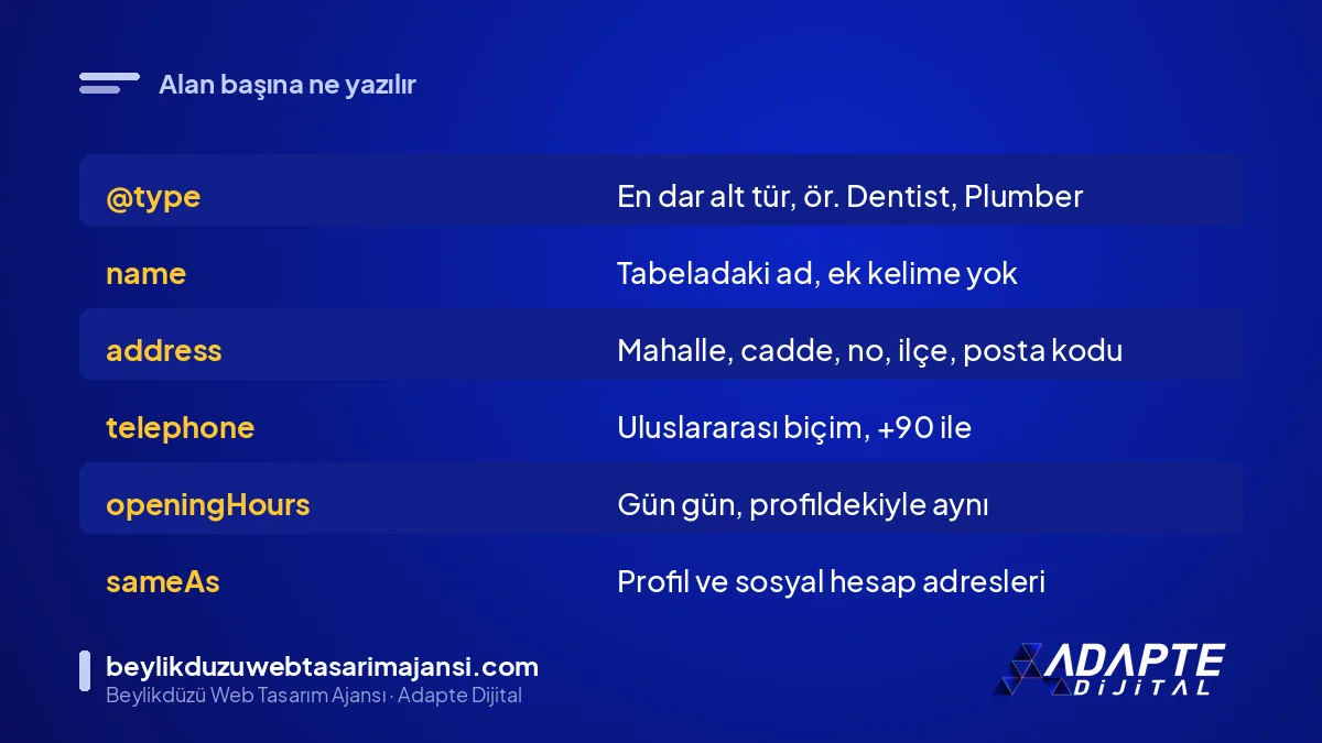 LocalBusiness schema alanları ve her alana ne yazılacağı tablosu