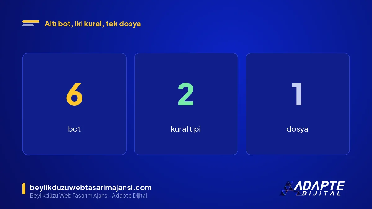Robots.txt ile AI botlarına izin ayarında 6 bot, 2 kural tipi ve 1 dosya